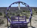 Un arco decorato con nastri viola e fiori di lavanda incornicia una panchina dello stesso colore, immersi in un campo di lavanda sotto una santa luce.