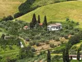 Colline verdi con uliveti e vigneti vicino a San Casciano. Una casa bianca con tetto rosso domina il paesaggio.