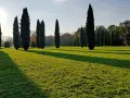 Viale di cipressi che conduce a cascine di tavola, con il sole che proietta lunghe ombre sull'erba verde.