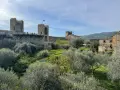 Le mura di Monteriggioni, Siena, dominano un paesaggio toscano con ulivi e colline. Un ponte pedonale attraversa la fortificazione.