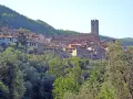 Antica villa basilica con torre campanaria, immersa nel verde di una collina toscana.