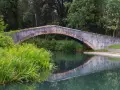 Ponte in pietra nel parco della Versiliana, con vegetazione lussureggiante e fiori gialli che si specchiano nell'acqua calma.