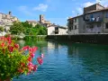 Fiori rossi in primo piano, con il borgo di Santa Fiora e il suo fiume sullo sfondo.