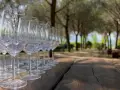 Bicchieri di cristallo allineati su un tavolo di legno scuro, con un vigneto sullo sfondo. La luce del sole crea riflessi brillanti, quasi come se la buccia nera dell'uva fosse stata trasformata in vetro.