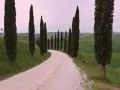 Strada bianca tra i cipressi di San Quirico d'Orcia, con dolci colline verdi e cielo rosato.