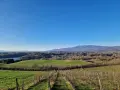Vigneti e colline verdi nella riserva naturale Ponte a Buriano e Penna, con montagne sullo sfondo sotto un cielo azzurro.