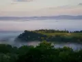 Nebbia mattutina avvolge la valle del fiume Merse, con colline verdi e filari di cipressi che emergono dalla foschia.