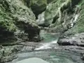 Un torrente scorre tra le rocce scoscese e muschiose dell'orrido di Botri, creando un paesaggio selvaggio e suggestivo.