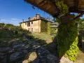 Un casale toscano immerso nel verde, con un pergolato ricoperto d'edera. Un luogo ideale per gustare un buon dionisio vino.