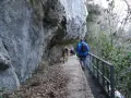Passeggiata con cani lungo un sentiero stretto sotto una roccia sporgente, simile a una grotta all'onda.
