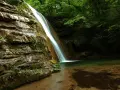 Le cascate dell'Acquacheta scendono su rocce muschiose in una foresta lussureggiante, creando un'oasi di pace.