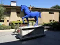 Un cavallo blu con Pinocchio a cavalcioni, simbolo del paese di Collodi. La statua è posta su un piedistallo con la frase "C'era una volta... un pezzo di legno" in più lingue.