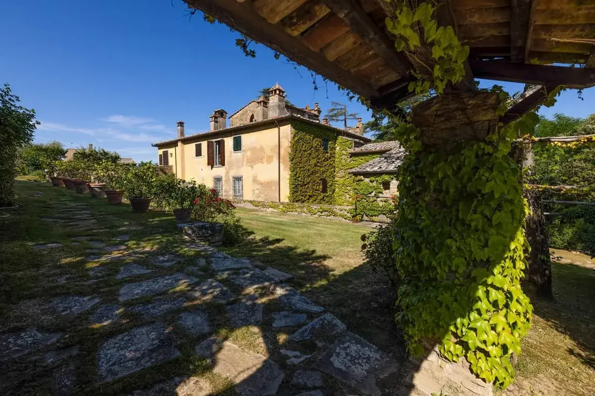 Un casale toscano immerso nel verde, con un pergolato ricoperto d'edera. Un luogo ideale per gustare un buon dionisio vino.