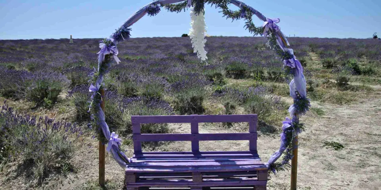 Un arco decorato con nastri viola e fiori di lavanda incornicia una panchina dello stesso colore, immersi in un campo di lavanda sotto una santa luce.