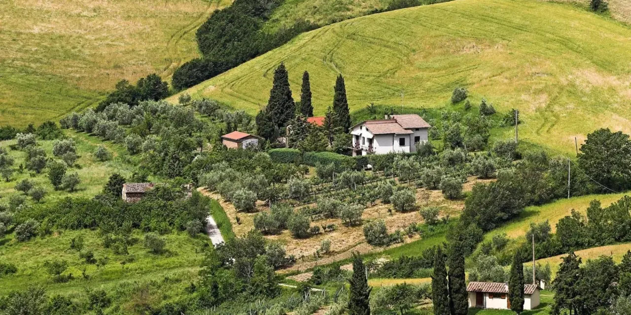 Colline verdi con uliveti e vigneti vicino a San Casciano. Una casa bianca con tetto rosso domina il paesaggio.