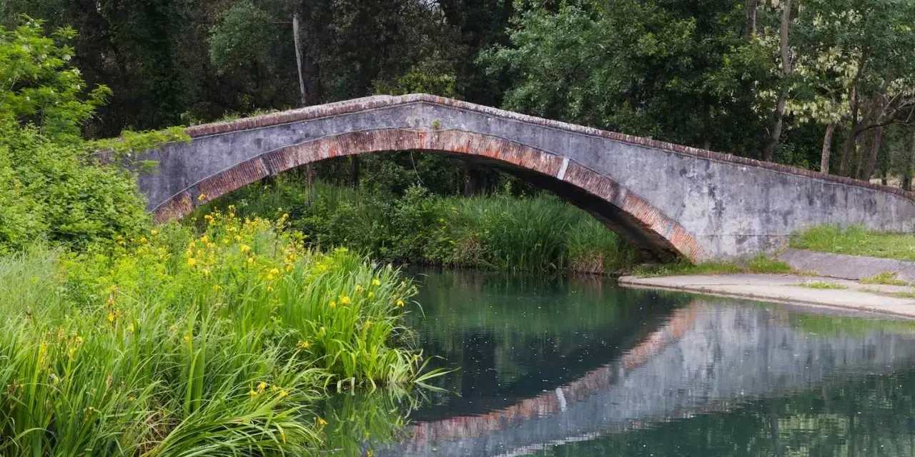 Ponte in pietra nel parco della Versiliana, con vegetazione lussureggiante e fiori gialli che si specchiano nell'acqua calma.