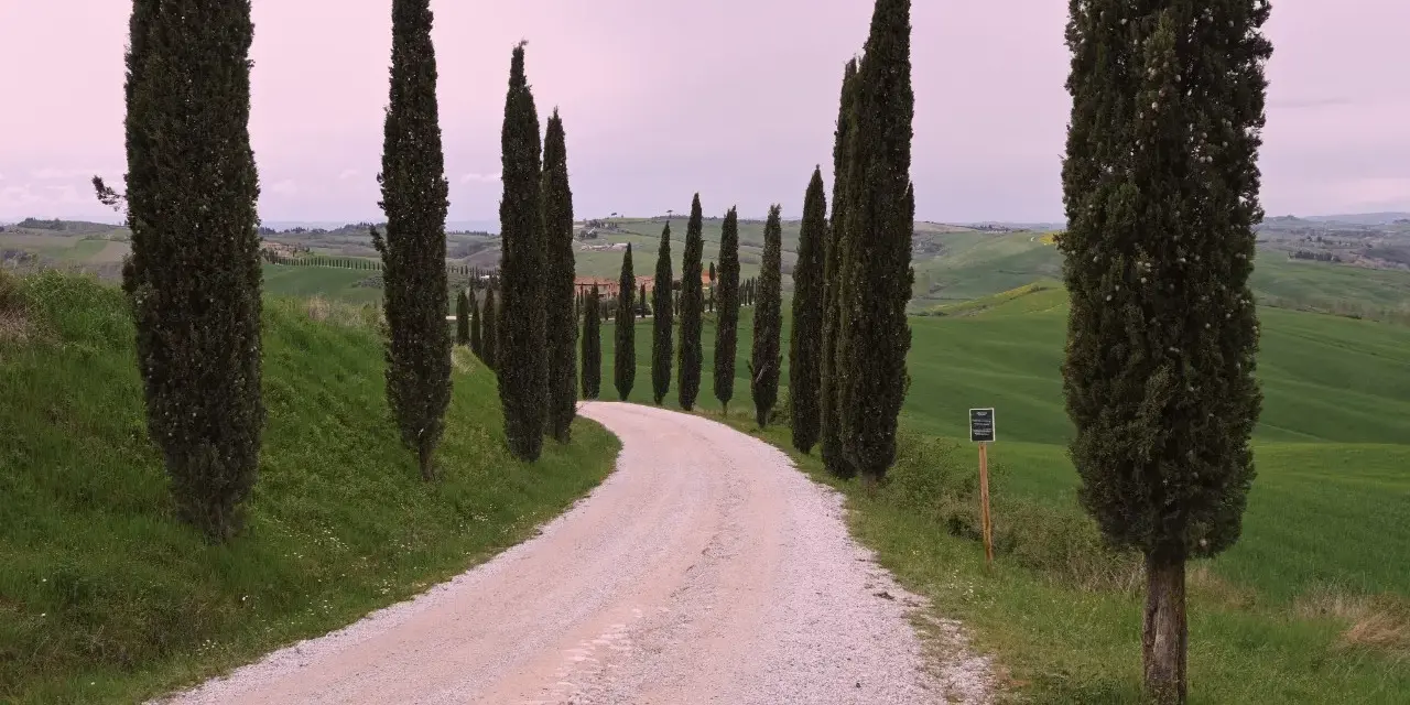 Strada bianca tra i cipressi di San Quirico d'Orcia, con dolci colline verdi e cielo rosato.