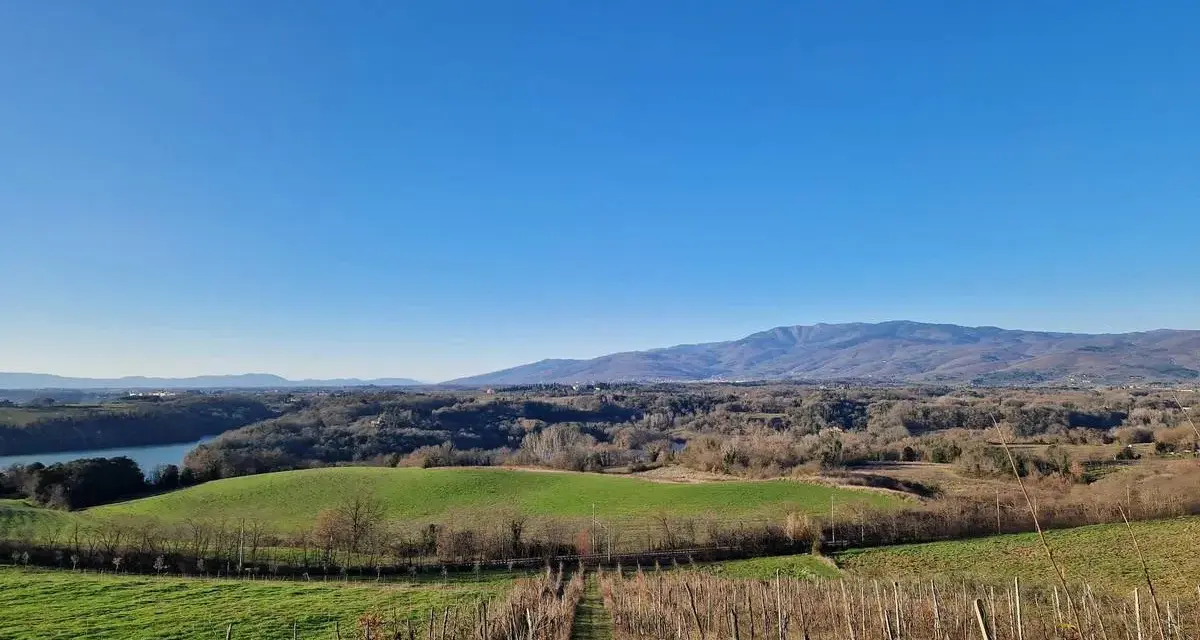 Vigneti e colline verdi nella riserva naturale Ponte a Buriano e Penna, con montagne sullo sfondo sotto un cielo azzurro.
