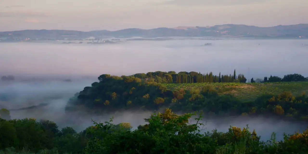 Nebbia mattutina avvolge la valle del fiume Merse, con colline verdi e filari di cipressi che emergono dalla foschia.