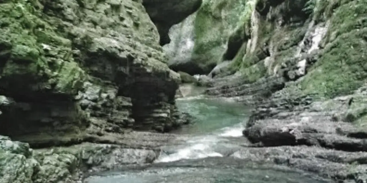 Un torrente scorre tra le rocce scoscese e muschiose dell'orrido di Botri, creando un paesaggio selvaggio e suggestivo.