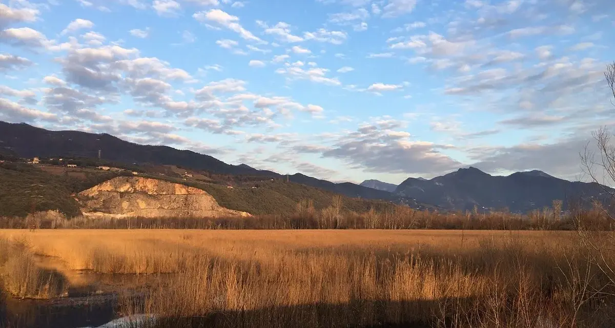 Acque calme del lago di Porta riflettono un cielo azzurro con nuvole bianche, circondato da canneti dorati e montagne all'orizzonte.