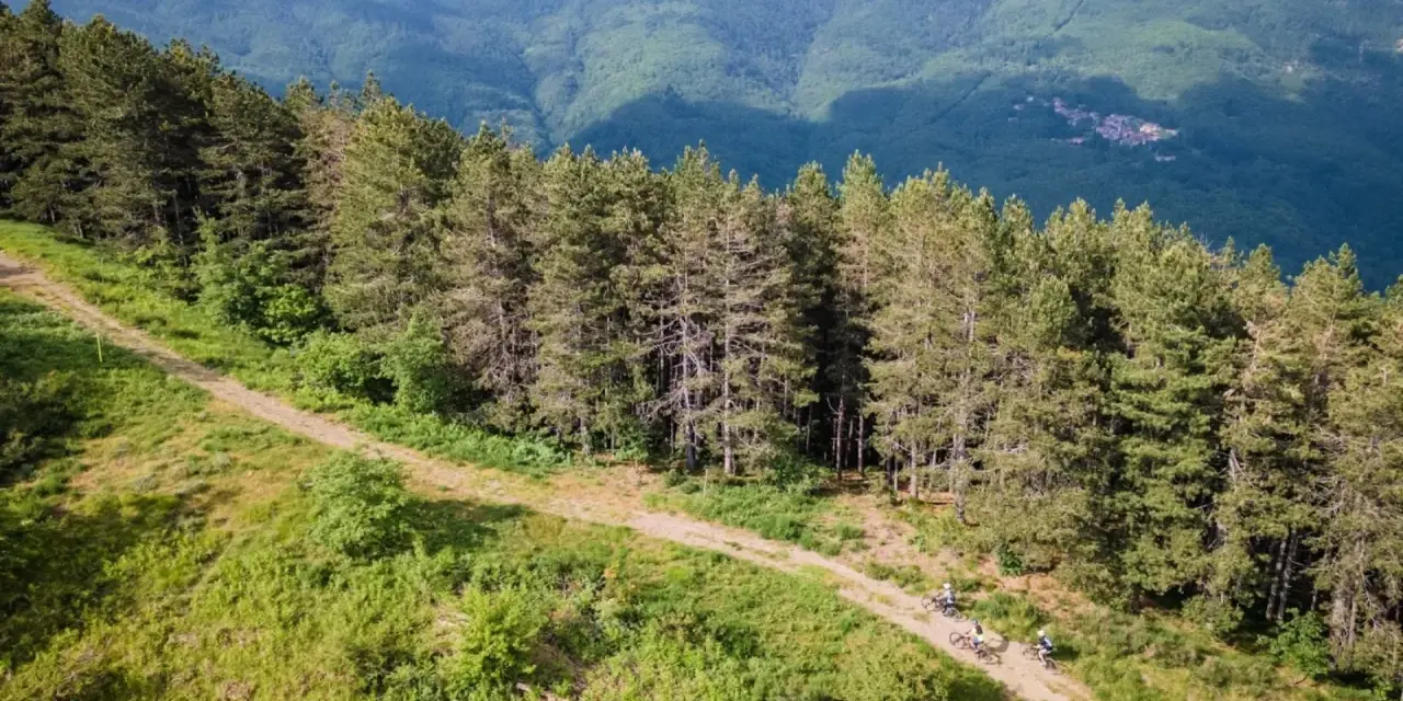 Ciclisti su un sentiero sterrato ai margini di una pineta, con montagne verdi sullo sfondo. Un'avventura sul passo del Brattello.