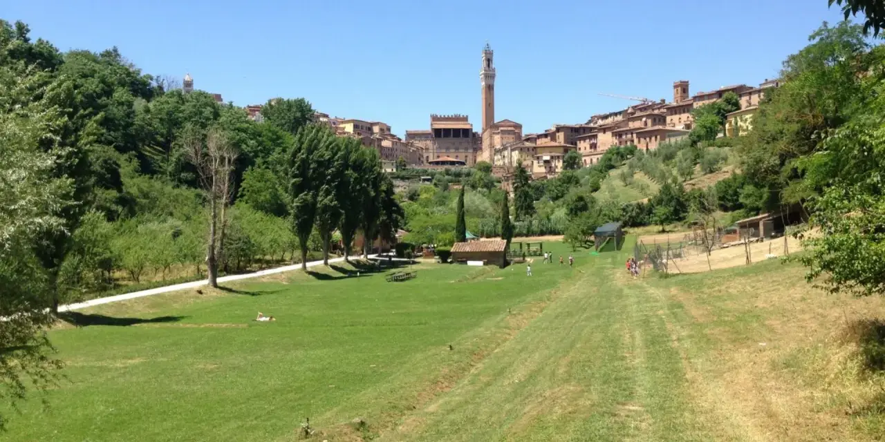 Prato verde con alberi e la città di Siena sullo sfondo, con la Torre del Mangia visibile. Un luogo tranquillo, forse l'orto dei pecci siena.