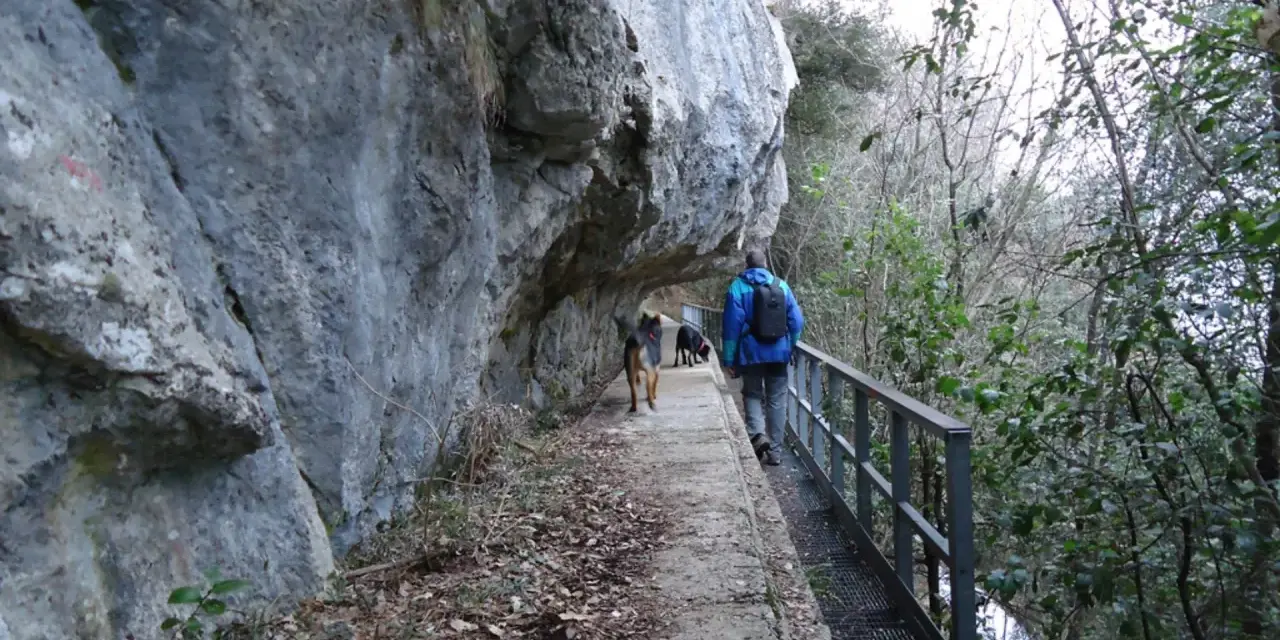 Passeggiata con cani lungo un sentiero stretto sotto una roccia sporgente, simile a una grotta all'onda.