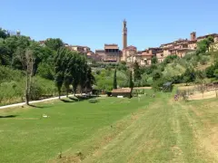 Prato verde con alberi e la città di Siena sullo sfondo, con la Torre del Mangia visibile. Un luogo tranquillo, forse l'orto dei pecci siena.