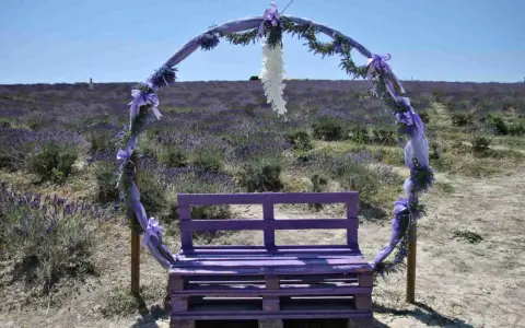 Un arco decorato con nastri viola e fiori di lavanda incornicia una panchina dello stesso colore, immersi in un campo di lavanda sotto una santa luce.