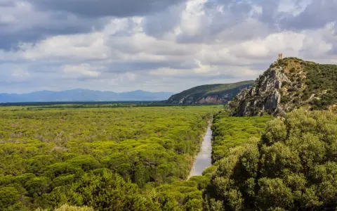 Un fiume serpeggia tra fitti boschi verdi, un paesaggio tipico dei parchi della Toscana, con una torre antica su una collina rocciosa.
