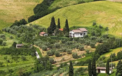 Colline verdi con uliveti e vigneti vicino a San Casciano. Una casa bianca con tetto rosso domina il paesaggio.