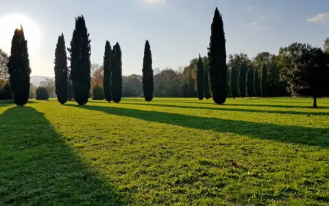 Viale di cipressi che conduce a cascine di tavola, con il sole che proietta lunghe ombre sull'erba verde.
