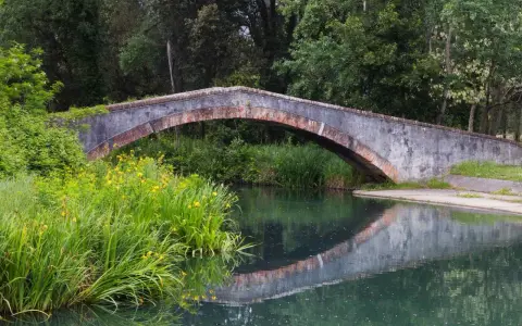 Ponte in pietra nel parco della Versiliana, con vegetazione lussureggiante e fiori gialli che si specchiano nell'acqua calma.