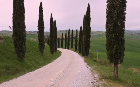 Strada bianca tra i cipressi di San Quirico d'Orcia, con dolci colline verdi e cielo rosato.