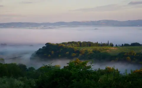 Nebbia mattutina avvolge la valle del fiume Merse, con colline verdi e filari di cipressi che emergono dalla foschia.