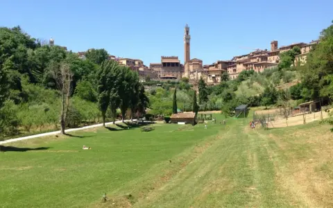 Prato verde con alberi e la città di Siena sullo sfondo, con la Torre del Mangia visibile. Un luogo tranquillo, forse l'orto dei pecci siena.