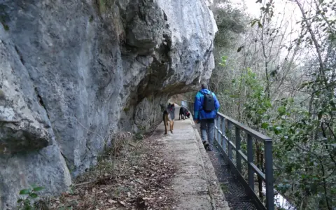 Passeggiata con cani lungo un sentiero stretto sotto una roccia sporgente, simile a una grotta all'onda.