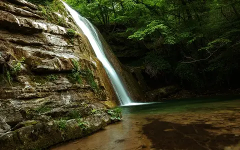 Le cascate dell'Acquacheta scendono su rocce muschiose in una foresta lussureggiante, creando un'oasi di pace.