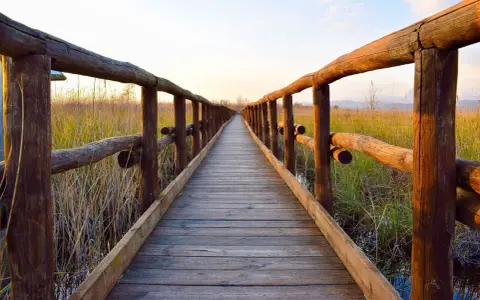 Passerella in legno sul lago di Massaciuccoli, circondata da canneti dorati al tramonto.
