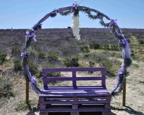 Un arco decorato con nastri viola e fiori di lavanda incornicia una panchina dello stesso colore, immersi in un campo di lavanda sotto una santa luce.