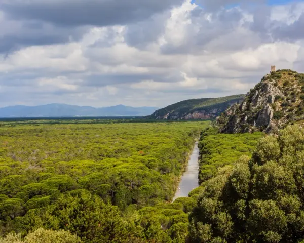 Un fiume serpeggia tra fitti boschi verdi, un paesaggio tipico dei parchi della Toscana, con una torre antica su una collina rocciosa.