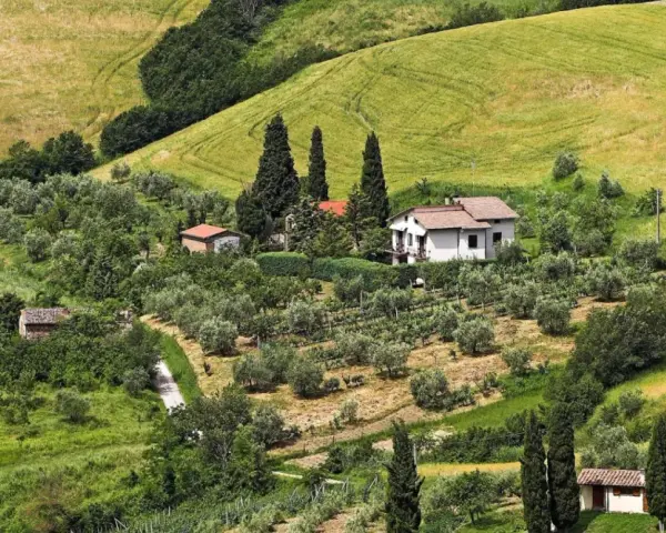 Colline verdi con uliveti e vigneti vicino a San Casciano. Una casa bianca con tetto rosso domina il paesaggio.