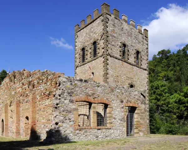 Rovine di un castello a Montecatini Val di Cecina, con una torre merlata e mura in pietra e mattoni, circondato da alberi verdi.