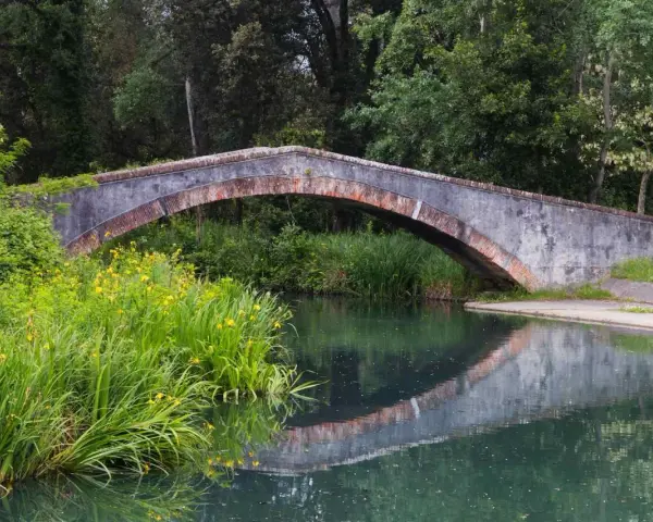 Ponte in pietra nel parco della Versiliana, con vegetazione lussureggiante e fiori gialli che si specchiano nell'acqua calma.