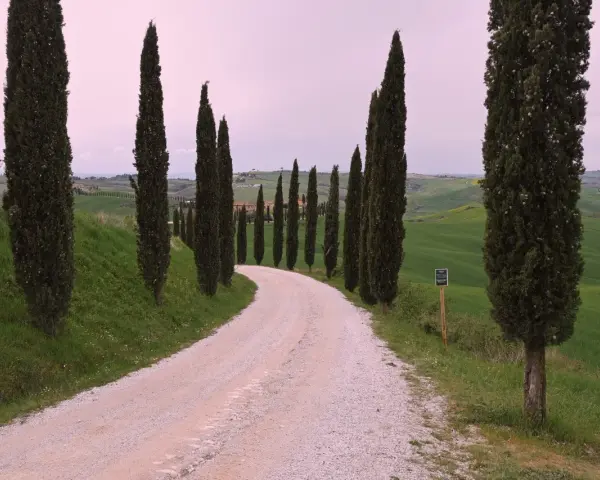 Strada bianca tra i cipressi di San Quirico d'Orcia, con dolci colline verdi e cielo rosato.