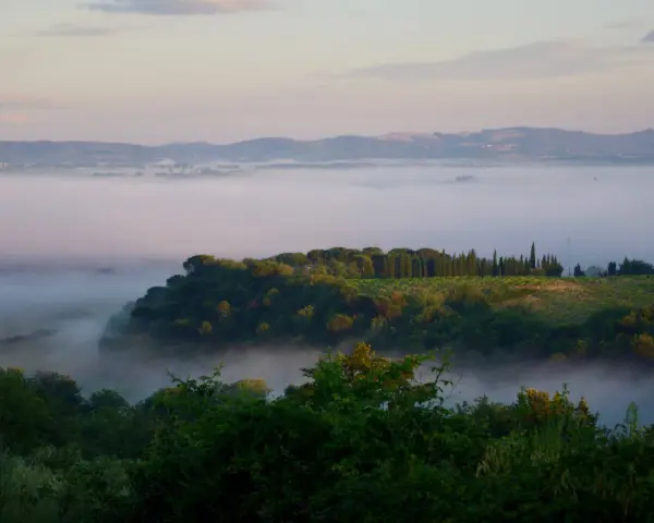 Nebbia mattutina avvolge la valle del fiume Merse, con colline verdi e filari di cipressi che emergono dalla foschia.
