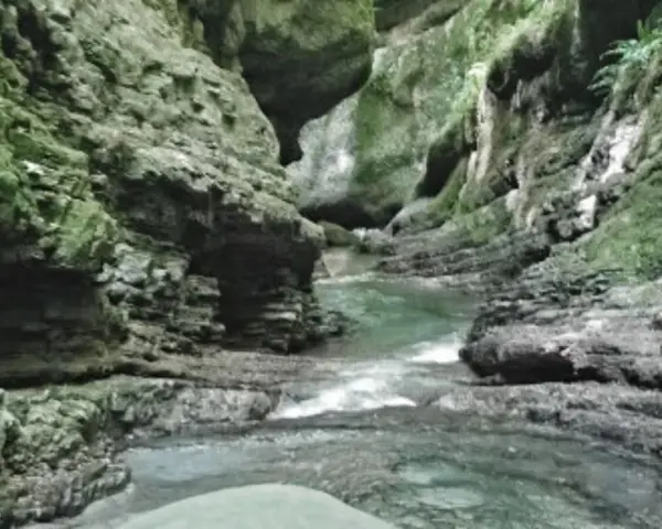 Un torrente scorre tra le rocce scoscese e muschiose dell'orrido di Botri, creando un paesaggio selvaggio e suggestivo.