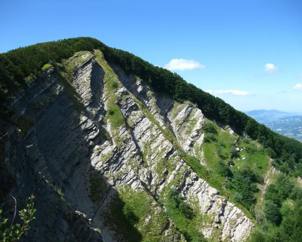 Ripida parete rocciosa con stratificazioni evidenti, coperta da vegetazione verde e alberi. Il cielo è azzurro con qualche nuvola.