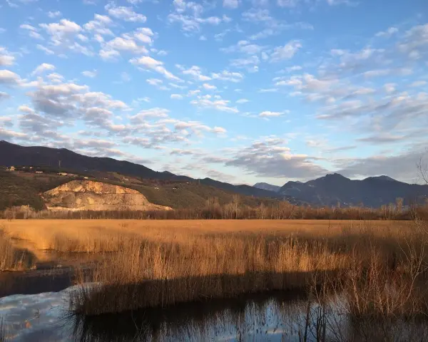 Acque calme del lago di Porta riflettono un cielo azzurro con nuvole bianche, circondato da canneti dorati e montagne all'orizzonte.